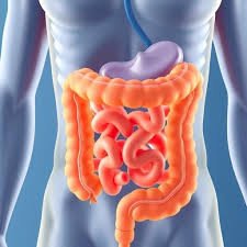 Preparing for Your First Colonoscopy